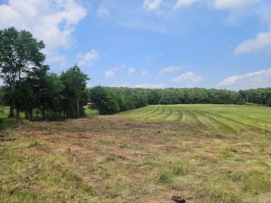 TBD Johnny Tate Rd, Waldron, AR 72958 - photo 5