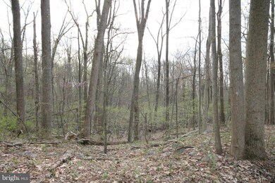 0 Tree Crops Ln unit 1000685031, Round Hill, VA 20141 - photo 5
