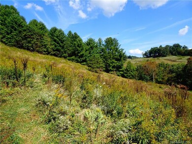 606 Mckinney Rd unit B, Burnsville, NC 28714 - photo 6