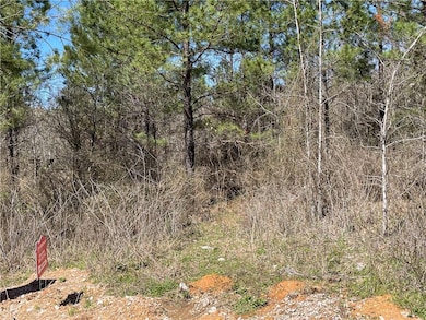 599 Timber Creek Trail, Broken Bow, OK 74728 - photo 4