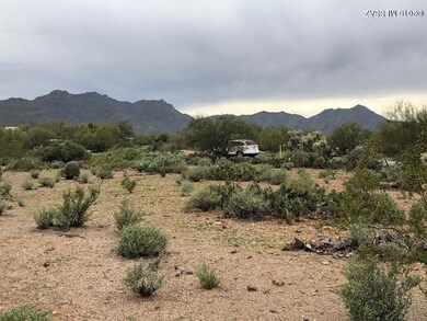 Tucson Mtns in your back/front door