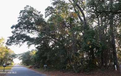 111 SE 78th St, Oak Island, NC 28465 - photo 4