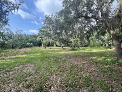 13930 Sweat Loop Rd, Wimauma, FL 33598 - photo 5