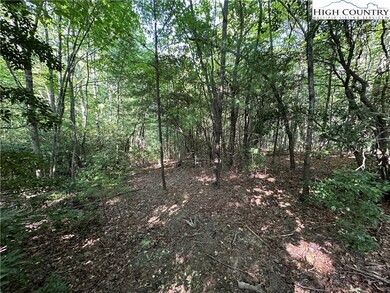 Lot 15C Cielo Ridge Way, Purlear, NC 28665 - photo 6