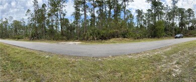 XXXX 2nd Ave SE, Naples, FL 34117 - photo 5