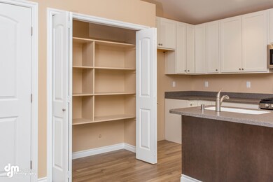 Large Kitchen Pantry