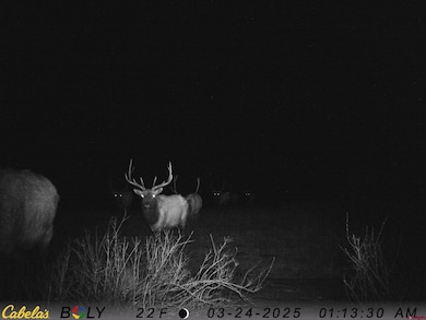 TBD Albert Place, Pagosa Springs, CO 81147 - photo 6