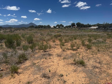 TBD S Chestnut St, Cortez, CO 81321 - photo 3