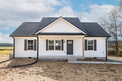 7 Orchard Cemetery Rd, Petersburg, TN 37144 - photo 4