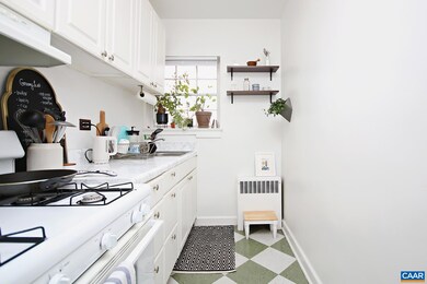 32 University Cir unit 303, Charlottesville, VA 22903 - photo 4