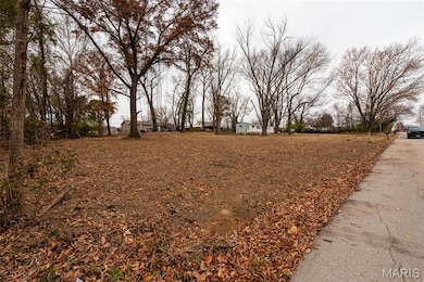 Meramec St. W Meramec St, Pacific, MO 63069 - photo 5