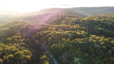 78+/- Acres TBD W Blanding Rd, Hanover, IL 61041 - photo 2