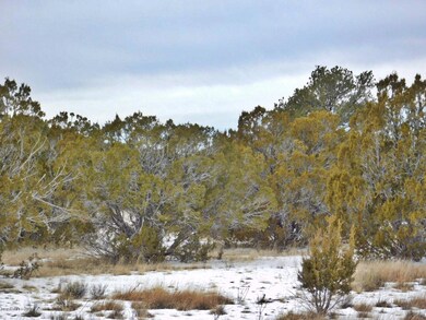 Greentree 2