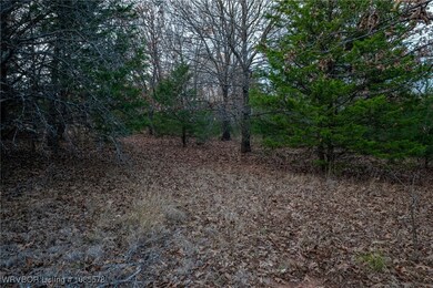 Tract 4 Acme Rd, Asher, OK 74826 - photo 4