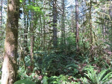 0 Deer Park Ln, Toledo, WA 98591 - photo 2