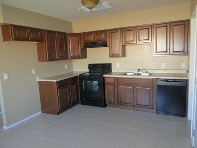 Olmo cir 016