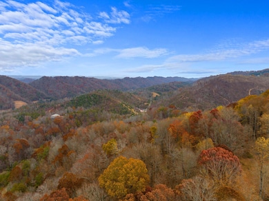 0 Broken Valley Rd unit 707823, Thorn Hill, TN 37881 - photo 5