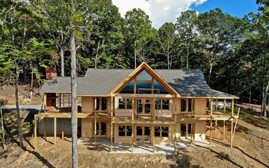 445 Picklesimer Mountain Trail, Morganton, GA 30513 - photo 2