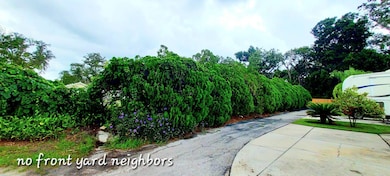 3642 Langley Ln, Zephyrhills, FL 33541 - photo 5