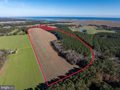 0 Folly Creek Rd unit VAAC2002456, Accomac, VA 23301 - photo 7