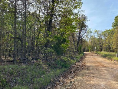 000 Moonlight Rd unit 155 Acres, Mammoth Spring, AR 72554 - photo 5