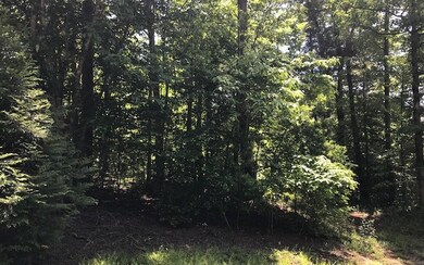 0 Toccoa River Forest unit 278490, Mineral Bluff, GA 30559 - photo 2