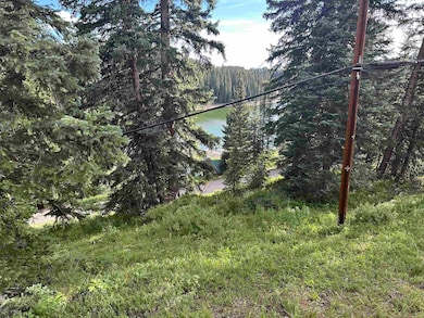 21344 Hilltop Dr, Cedaredge, CO 81413 - photo 5