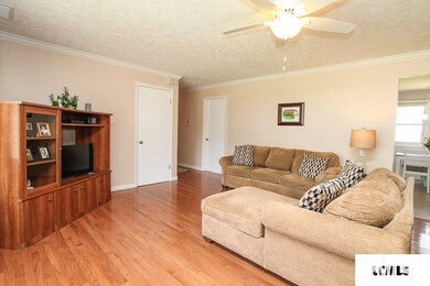 435 Mayfair Dr, Lincoln, IL 62656 - photo 3