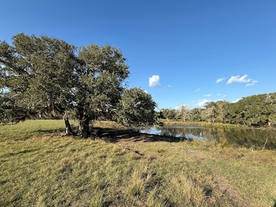 31619 Texas 36, West Columbia, TX 77486 - photo 7