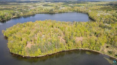 Facing East captures the morning light dancing across the water and treetops.