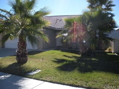 Mature Palms in Frontyard