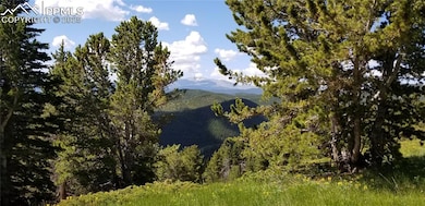 Views from the main site