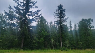 N4651 Pennington Rd, Prentice, WI 54556 - photo 2