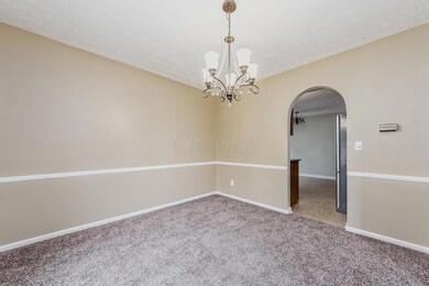 Dining Room New Carpet