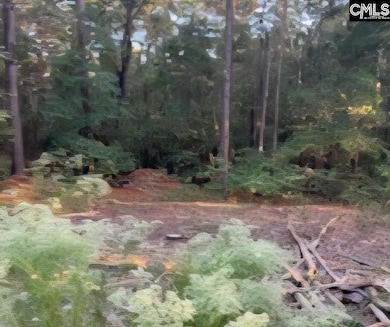 35 Simmons Dr, Camden, SC 29020 - photo 6