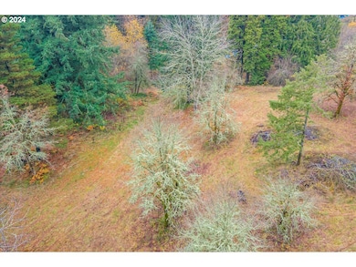 0 NW Plainview Rd, Portland, OR 97231 - photo 7