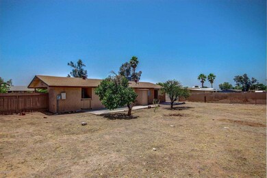 0004-Adobe (5)