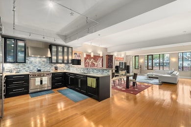 Wilkes Passage unit 330, Boston, MA 02118 - photo 2