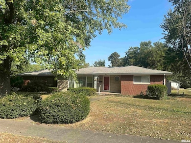 341 Mcfall St, Benton, IL 62812 - photo 4