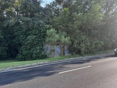 1.86 ac Highway 82 Cherry St, Ty Ty, GA 31795 - photo 7