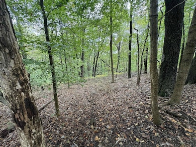 288 Walnut Dr, Logan, OH 43138 - photo 6