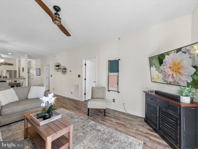 33156 N Village Loop unit 4205, Lewes, DE 19958 - photo 5