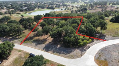 Large Beautiful Oak trees