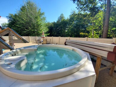 23 Black Bear Rd unit 212, Waterville Valley, NH 03215 - photo 5