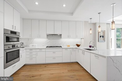 Ritz-Carlton Residences unit 313, Chevy Chase, MD 20815 - photo 5