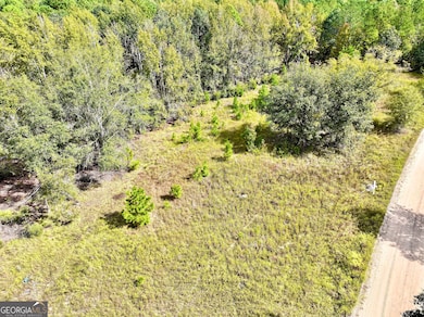 0 Eugene Ward Rd unit 10652768, Adrian, GA 31002 - photo 6