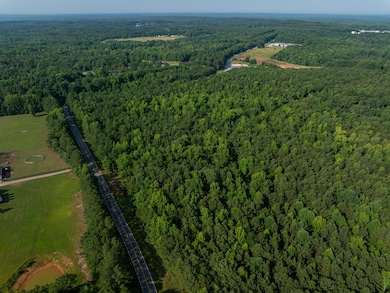 0 Goldmine Rd, Spartanburg, SC 29307 - photo 2