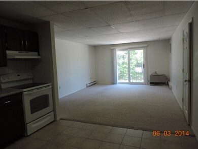 131 Capitol Hill Dr unit 131, Londonderry, NH 03053 - photo 4