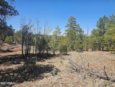 3662 Sunset Ridge Loop unit 143, Blue Ridge, AZ 86024 - photo 5