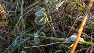 0 Monroe Road 343 unit 25509285, Hunnewell, MO 63443 - photo 6